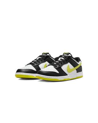 NIKE-DUNK LOW RETRO-DV0833-110